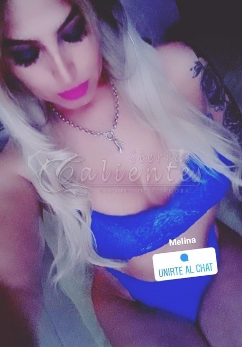 Escort Melina Trans en Tribunales Sierrascalientes 05 Escort Melina Trans en Tribunales Sierrascalientes 05