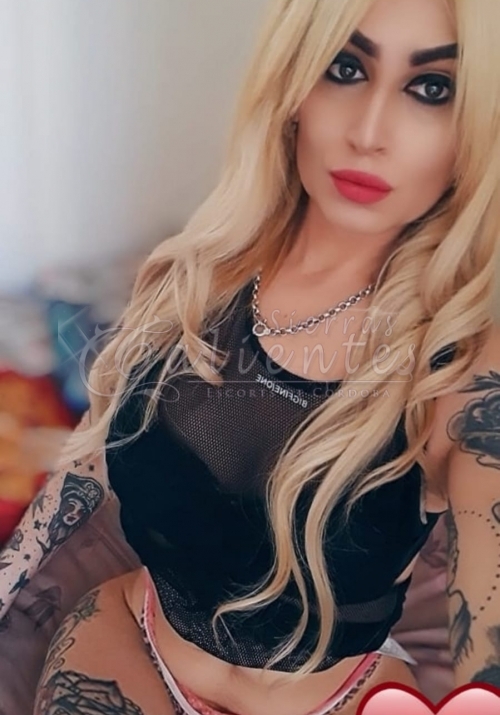 Escort Melina Trans en Tribunales Sierrascalientes 08 Escort Melina Trans en Tribunales Sierrascalientes 08