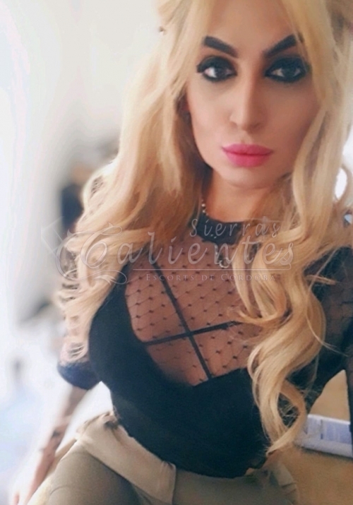 Escort Melina Trans en Tribunales Sierrascalientes 05 Escort Melina Trans en Tribunales Sierrascalientes 05