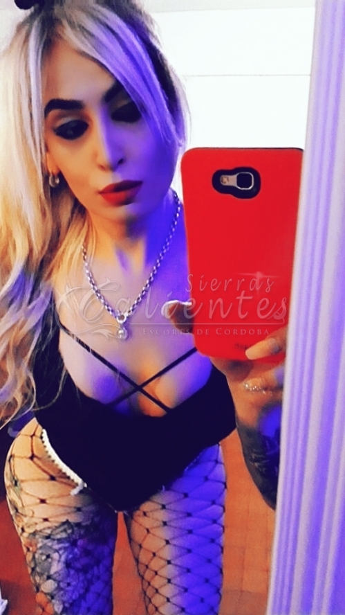 Escort Melina Trans en Tribunales Sierrascalientes 04 Escort Melina Trans en Tribunales Sierrascalientes 04
