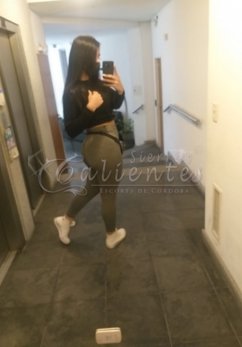 Escort Nicole Trans en Centro Cordoba Sierrascalientes 076 Escort Nicole Trans en Centro Cordoba Sierrascalientes 076