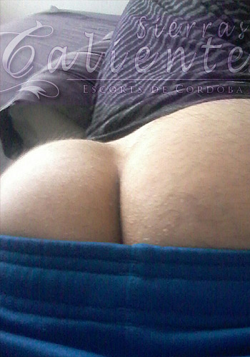 Juan Perfil Escort