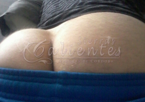 Escort Juan en Patio Olmos Sierrascalientes 016 Escort Juan en Patio Olmos Sierrascalientes 016