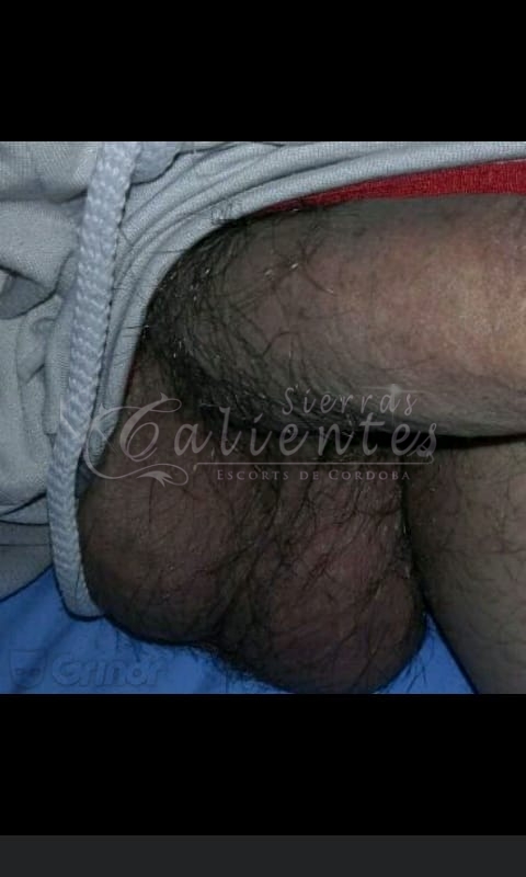Escort Juan en Patio Olmos Sierrascalientes 022 Escort Juan en Patio Olmos Sierrascalientes 022