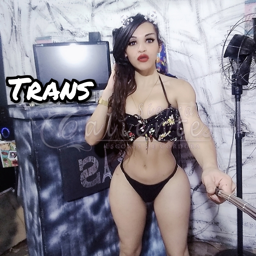 Escort Kendall Trans en Carlos Paz Sierrascalientes 08 Escort Kendall Trans en Carlos Paz Sierrascalientes 08