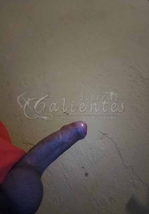 Escort Paulo en Centro Córdoba Sierrascalientes 02 Escort Paulo en Centro Córdoba Sierrascalientes 02