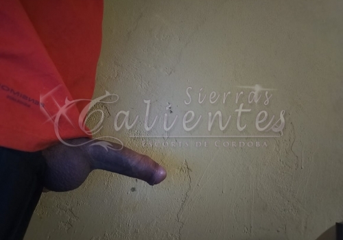 Escort Paulo en Centro Córdoba Sierrascalientes 03 Escort Paulo en Centro Córdoba Sierrascalientes 03