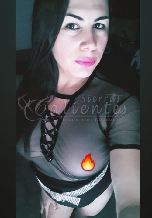 Escort Dana Trans en Pilar Sierrascalientes 010 Escort Dana Trans en Pilar Sierrascalientes 010