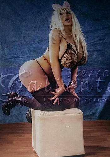 Escort Alejandra Trans en Centro Córdoba Sierrascalientes 01 Escort Alejandra Trans en Centro Córdoba Sierrascalientes 01