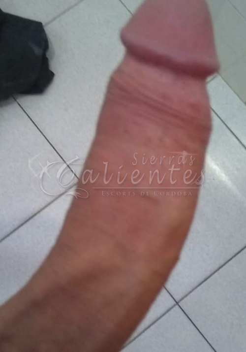 Escort Alejandra Trans en Centro Córdoba Sierrascalientes 012 Escort Alejandra Trans en Centro Córdoba Sierrascalientes 012